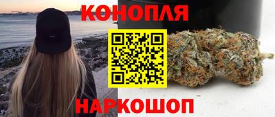 стаф Берёзовский