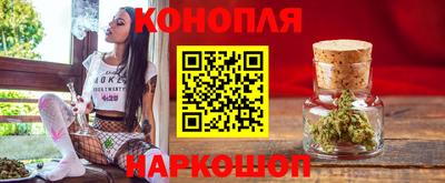 стаф Берёзовский