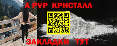стаф Берёзовский