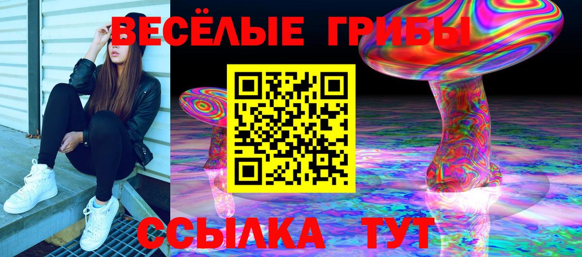 Гулькевичи  Псилоцибиновые грибы Cubensis  Галлюциногенные грибы MAGIC MUSHROOMS  Вход с VPN 
