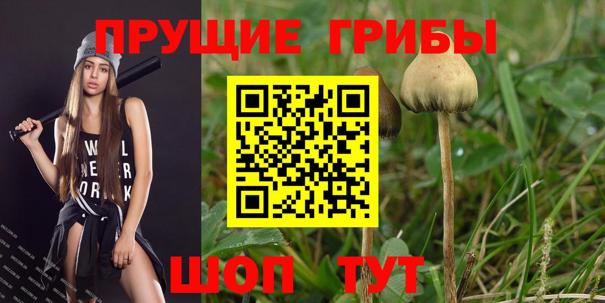 Галлюциногенные грибы ЛСД Гулькевичи